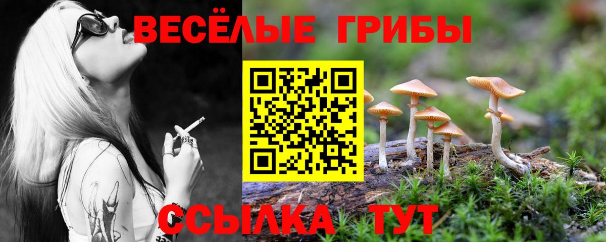 Галлюциногенные грибы Cubensis  Галлюциногенные грибы Cubensis  Вход с VPN  Выборг 